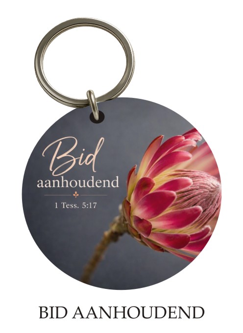 Bid Aanhoudend KeyPix keyring