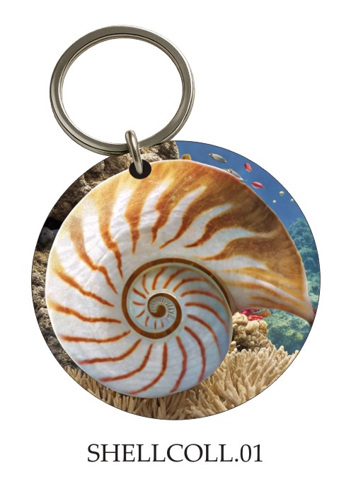 Seashell KeyPix keyring